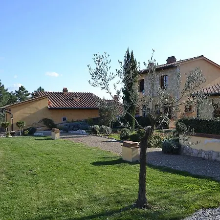 Sangimignano Castagno (Val D'Elsa)